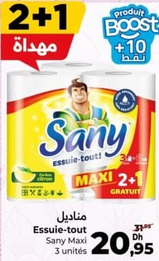 Essuie-tout Sany Maxi