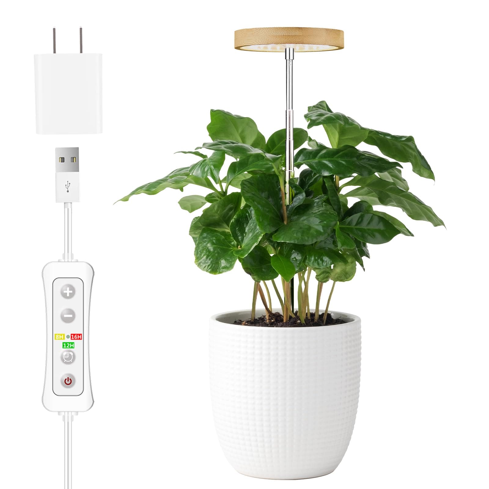 Plant Grow Light for Indoor Plant,Bamboo Mini LED Grow Light Garden,Height Adjustable,Automatic Timer with 8/12/16 Hours chez Amazon US