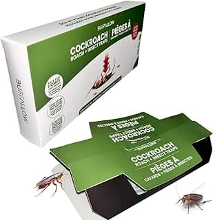 Pièges à cafards collants d’intérieur (lot de 14) - Pièges à cafards avec colle chez Amazon Canada
