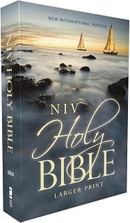 NIV, Holy Bible, Larger Print, Economy Edition, Paperback, Blue, Comfort Print: (Affordable Bible for New Believers, Outreach,... chez Amazon Canada