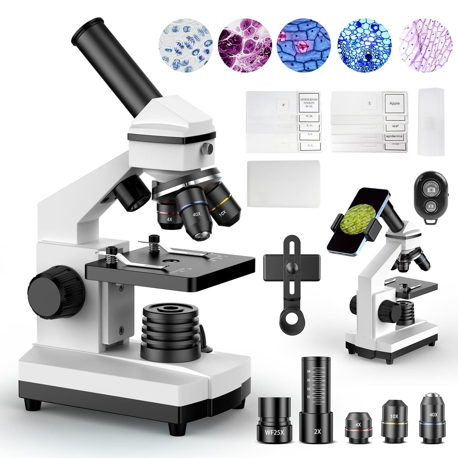 PalliPartners Compound Microscope for Adults & Students, White