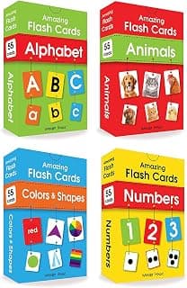 Amazing Flash Cards Set Of 4 Boxes: Early Development OF Preschool Toddler (220 Cards, Alphabet, Number, Animals, Colors And Shapes) chez Amazon Canada