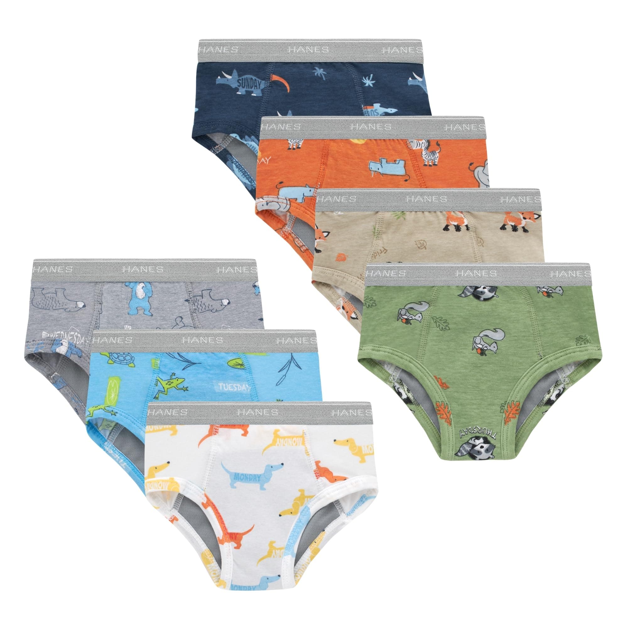 Hanes Boys' Potty Training Underwear, Light Leaks Toddler Cotton Briefs and Boxer Briefs, Multi-pack chez Amazon US
