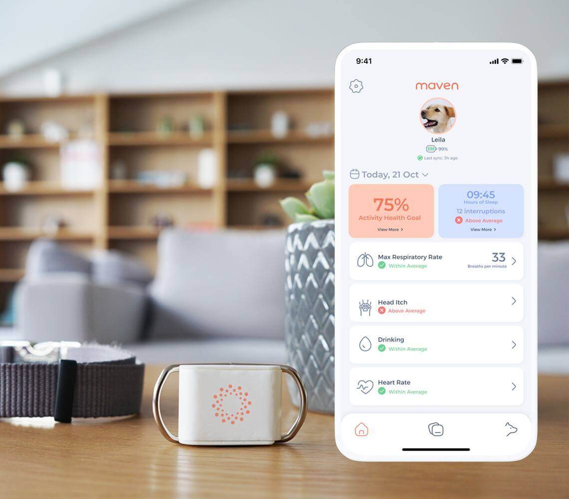 Maven Pet Health Tracker - Smart Collar & 24/7 AI Veterinary Monitoring Kit chez Maven Pet