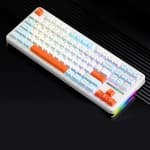 Mechanical Keyboard Tri-Mode Wireless Keyboard Hot swap 2.4g Bluetooth Customized Gamer Keyboard PC Gaming Laptop chez Best Buy Canada