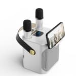 ApexGear Portable Bluetooth Karaoke Speaker, 2 Wireless Mics 18000mAh Large Battery for Home Party chez Best Buy Canada