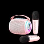 ApexGear Portable Bluetooth Karaoke Speaker, Dual Wireless Mics & Dynamic RGB Lights for Home Party chez Best Buy Canada