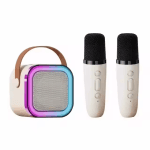 Portable Karaoke Speaker Set with 2 Wireless Microphones,Bluetooth5.3,RGB LED Lights for Home Duet Singing Party chez Best Buy Canada