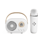 ApexGear Home KTV Karaoke Audio Set All In One Bluetooth Speaker with Wireless Microphone for Party chez Best Buy Canada