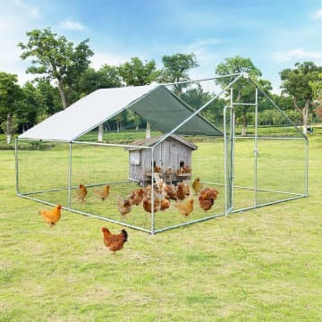 Costway Canada Poulailler extérieur de 13 x 13 pieds avec bâche imperméable chez Costway Canada