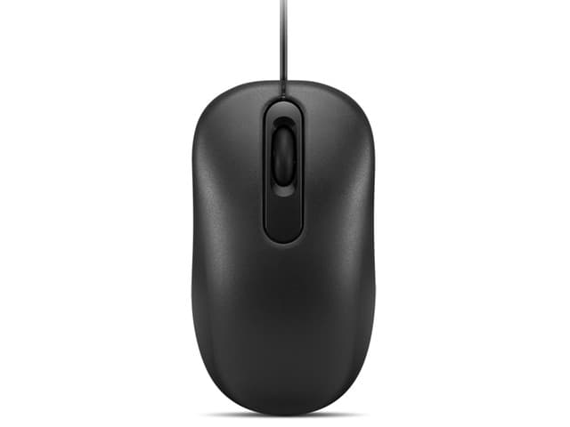 Lenovo 100 Wired USB Computer Souris for PC, PC portable, Computer with Windows chez Newegg Canada