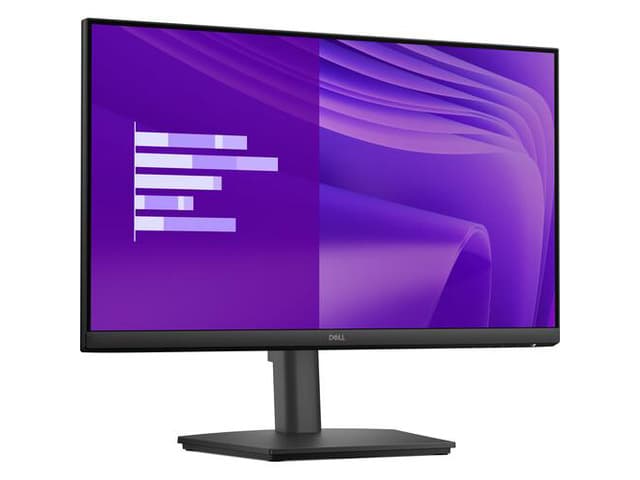 Dell Pro 24 Adjustable Stand Moniteur PC - E2425HSM, FHD, 100 Hz Display chez Newegg Canada