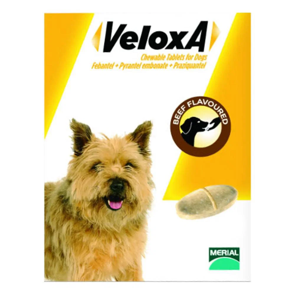 Canada Pet Care - Veloxa