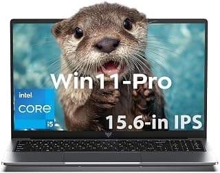 ACEMAGIC Ordinateur portable de jeu Intel Core i5-12600H, ordinateurs portables Intel 15,6", 24 Go LPDDR5 (2 x 12 Go, double canal)... chez Amazon Canada
