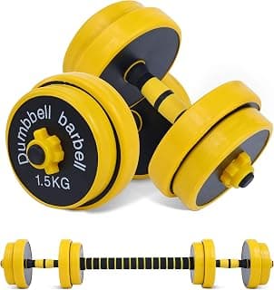 Nice C Adjustable Barbell- Dumbbell Set, 22-33-44-55-66-88 LB 2-in-1 Set, Non-Slip Hand, All-Purpose, Home, Gym, Office chez Amazon Canada