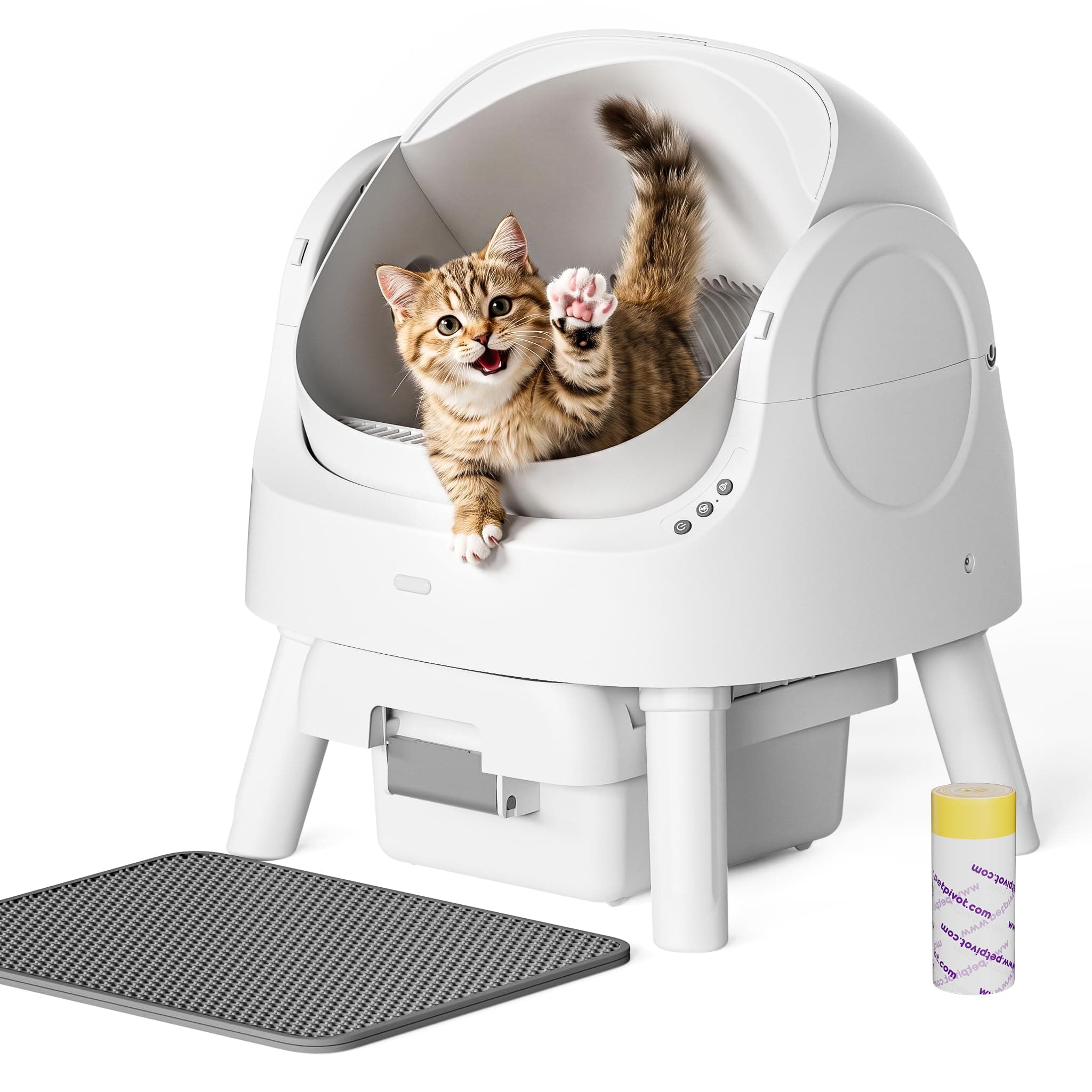 Self Cleaning Litter Box,