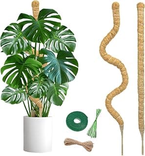 SYCARON Tuteur de mousse, 2 PCS 27,5 pouces (69,85 cm) Bâtons tuteurs de mousse pour support de plantes Monstera, Piquets de support... chez Amazon Canada