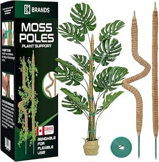 K-Brands Lot de 2 Piquets de 71 cm en Mousse Pliables pour Plantes Monstera - Support pour Plantes Grimpantes d’Intérieur - Longs... chez Amazon Canada