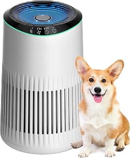 MORENTO Purificateur d'air HEPA for Bedroom Home, Smoke, HEPA Filter, 22dB, Blanc | HEPA Purificateur d'air HEPA for... chez Amazon Canada
