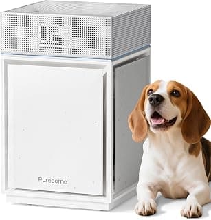 Purificateur d'air HEPAs for Smoke Large Room, Cover Up to 3600 Ft², Ivory | HEPA Filter for Wildfire Smoke, PM2.5 Air... chez Amazon Canada