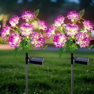 Ninonly Solar Garden Lights Outdoor, 2 Pack Chrysanthemum Flower Lights | 8 Lighting Modes, IP65 Waterproof,... chez Amazon Canada